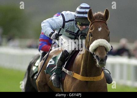 Moss Harvey unter Graham Lee gewinnt 4.40 Ladbrokes.com den Handicap Chase (Klasse D) (für den Scottish Memories Challenge Cup) auf der Rennbahn von Perth Stockfoto