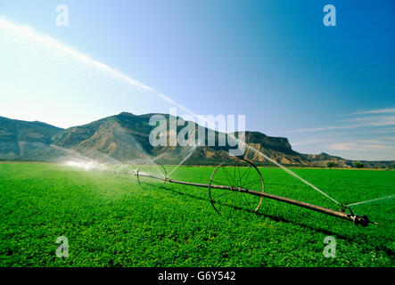 Beregnungs-und Bewässerungstechnik Sprühwasser auf Feldern in der Nähe von Cortez, Colorado, USA Stockfoto