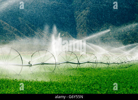 Beregnungs-und Bewässerungstechnik Sprühwasser auf Feldern in der Nähe von Cortez, Colorado, USA Stockfoto