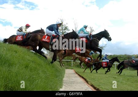 RACING David Russell Punchestown Stockfoto