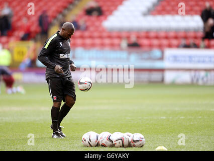 Fußball - Sky Bet Championship - Charlton Athletic gegen Burnley - The Valley. Charlton Athletic Assistant Manager Alex Dyer Stockfoto