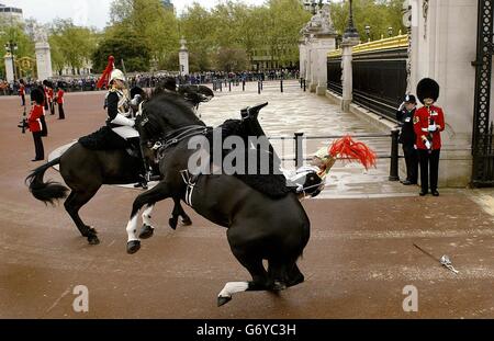 Horse Guard vom Pferd vor Königin Stockfoto