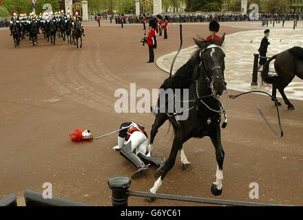 Horse Guard vom Pferd vor Königin Stockfoto