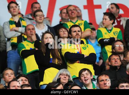 Fußball - Barclays Premier League - Swansea City / Norwich City - Liberty Stadium. Fans von Norwich City zeigen ihre Dejektion während des Spiels der Barclays Premier League im Liberty Stadium, Swansea. Stockfoto