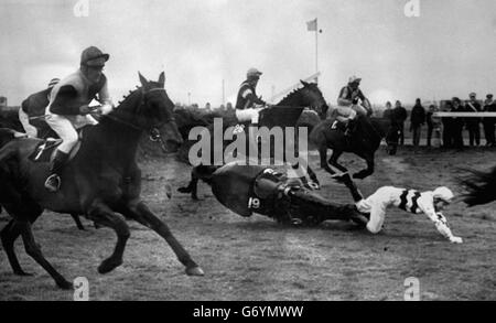 Peter Greenall fällt am ersten Zaun der News of the World Grand National in Aintree von seinem Berg Shaneman. Grennal wurde wieder montiert, zog Shaneman aber vor dem 15. Zaun hoch. L'Escargot, mit dem Iren Tommy Carberry im Sattel, gewann das Rennen von Red Rum, Brian Fletcher, mit Spanish Steps, geritten von Bill Smith, und belegte den dritten Platz. Stockfoto