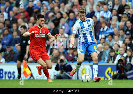 Charlton Athletic's Johnnie Jackson (links) und Brighton und Hove Albion's Dale Stephens kämpfen während des Sky Bet League Championship-Spiels im AMEX Stadium, Brighton, um den Ball. Stockfoto