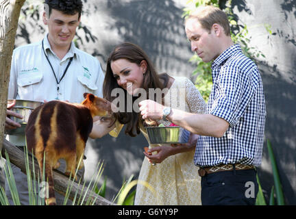 Der Herzog und die Herzogin von Cambridge füttern ein Baumkänguru im Taronga Zoo in Sydney, Australien, der Herzog und die Herzogin von Cambridge sind auf einer dreiwöchigen Tour durch Australien und Neuseeland. Stockfoto