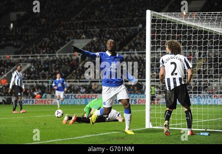 Fußball - Barclays Premier League - Newcastle United / Everton - St James' Park. Evertons Romelu Lukaku feiert das zweite Tor seiner Seite Stockfoto