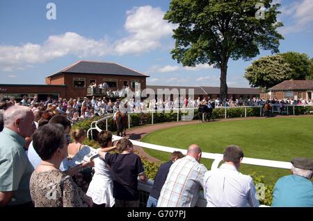 Eine allgemeine Ansicht der Rennegoer beobachten die Pferde in der Parade Ring, während der ersten Mai-Treffen in Ripon Rennbahn, Ripon, Yorkshire. Stockfoto