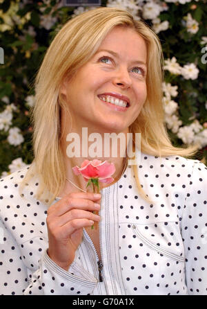 Lady Helen Taylor mit einer neuen Rose namens „Festive Jewel“ auf der Chelsea Flower Show in London. 2 aus dem Verkauf jeder Rose gehen an Freimaurer-Wohltätigkeitsorganisationen. Ihr Vater, der Herzog von Kent, ist Großmeister der Vereinigten Großloge von England. Rund 600 Aussteller nehmen diese Woche an der Ausverkaufs-Show mit 105 Blumenausstellungen, 40 Gärten und 15 Bildungsausstellungen Teil, die um Medaillen kämpfen. Rund 157,000 Personen - maximale Kapazität für den Ausstellungsgelände - werden voraussichtlich die 11 Hektar große Fläche von Dienstag bis Freitag im 200-jährigen Jubiläum der Royal Horticultural Society (RHS) befüllen. Stockfoto