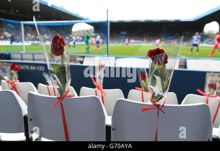 Fußball - Himmel Bet Meisterschaft - Sheffield Wednesday V Blackburn Rovers - Hillsborough Stockfoto