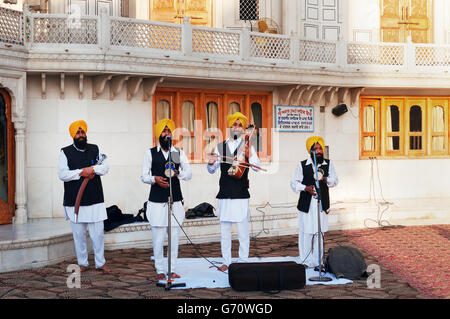 Indischer Musiker spielen lokale Instrumente im Goldenen Tempel (Harmandir Sahib auch Darbar Sahib). Stockfoto