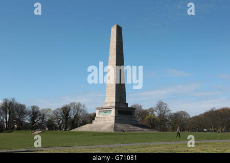 Das Wellington Monument im Phoenix Park in Dublin. Stockfoto