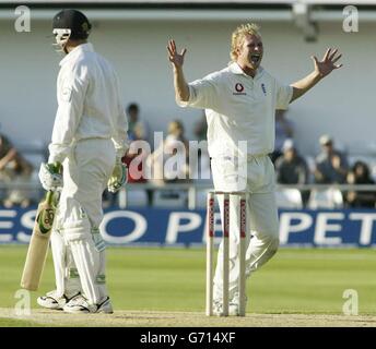 Der englische Matthew Hoggard (rechts) feiert beim vierten Spieltag im npower Second Test in Headingley, Leeds, die 8 LBW-lbw-lbw-Läufe von Neuseeland. Stockfoto