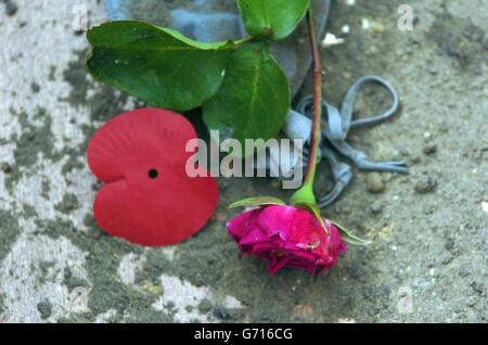 Eine einzelne rote Rose liegt auf DEM SARG VON WO 2 Evan Davies neben einem Stoffbeutel mit Schmuck von Davies' Schwestern, nach seiner heutigen Beerdigung. W02 Evan T Davies ein Soldat des Monmouthshire Regiment, wurde mit voller militärischer Ehre gehalten, fast 60 Jahre nach seinem Tod während des Konflikts im Zweiten Weltkrieg.WO2 Evan Davies Überreste wurden in der Nähe des Schlosses von Brocekhuizen in den Niederlanden entdeckt. Heute wurde er auf dem Venray war Memorial Cemetery in Holland zur Ruhe gebracht. Stockfoto