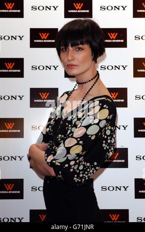 Supermodel Erin O' Connor während einer Fotoaufnahme, um den neuesten Plasma- und LCD-Flachbildfernseher von Sony, ausgestattet mit WEGA Engine Bildoptimierungstechnologie, im Zetter Hotel im Zentrum von London auf den Markt zu bringen. Stockfoto