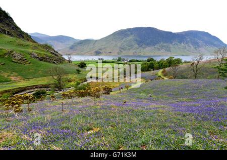 Frühling Wetter - Rannerdale Knotts, Cumbria Stockfoto