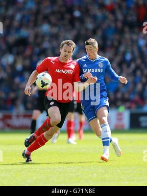 Fußball - Barclays Premier League - Cardiff City gegen Chelsea - Cardiff City Stadium. Ben Turner von Cardiff City (links) und Fernando Torres von Chelsea (rechts) kämpfen um den Ball Stockfoto