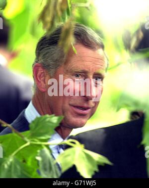 Der Prinz von Wales, Präsident der Wirtschaft in der Gemeinschaft, bei der Einführung des europäischen Programms "Seeing is Believing" bei einem Empfang für britische Wirtschaftsführer in den Gärten des Clarence House, London. Das Programm fordert führende Wirtschaftsvertreter auf, sich an der Bewältigung der dringendsten sozialen Probleme Großbritanniens in einigen der am stärksten benachteiligten Innenstädte und ländlichen Gebieten zu beteiligt. Stockfoto