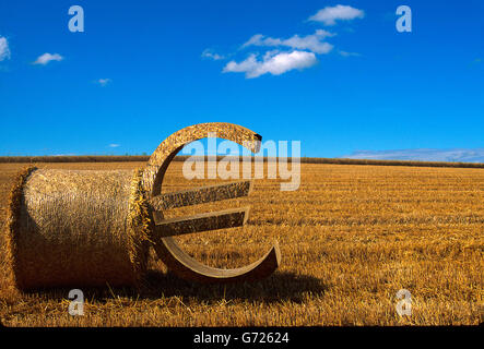 Euro-Zeichen gelehnt einen Ballen Stroh auf einem abgeernteten Feld, Abbildung Stockfoto