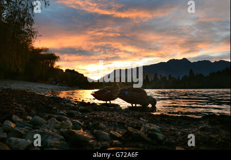 Neuseeland-Ansichten Stockfoto