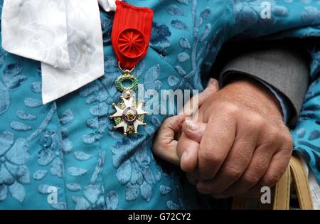 Andree Peele - Légion d ' Honneur Stockfoto