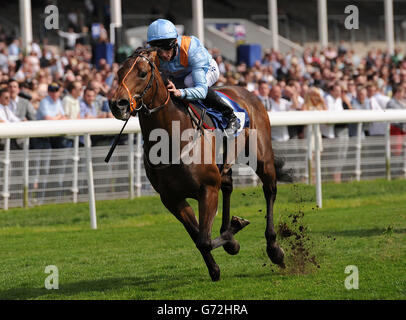 Pferderennen - Dante Festival 2014 - Tag Drei - Yorkshire Cup Day - York Racecourse. G Force mit Daniel Tudhope gewinnt die Ralph Raper Memorial Stakes während des Dante Festival 2014 Festivals auf der Pferderennbahn in York. Stockfoto