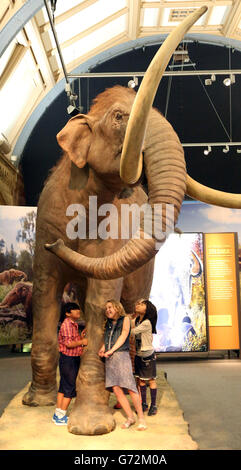 Kinder sehen ein kolumbianisches Mammut in the Mammuts: Ice Age Giants Ausstellung im National History Museum im Zentrum von London. Stockfoto