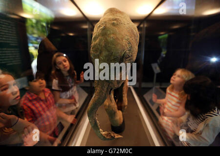 Kinder schauen sich eine Ausstellung von Lyuba Woolly Mammoth in the Mammuts: Ice Age Giants im National History Museum im Zentrum von London an. Stockfoto