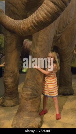 Ein Kind klammert sich in der Ausstellung Mammuts: Ice Age Giants im National History Museum im Zentrum von London an ein kolumbianisches Mammut. Stockfoto