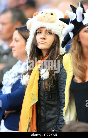 Fußball - Sky Bet Championship - Play Off - Finale - Derby County gegen Queens Park Rangers - Wembley Stadium. Ein niedergeschlagen aussehender Derby County Fan in den Tribünen Stockfoto