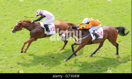 Großartige Köpfe, die von Wayne Lordan (links) geritten wurden, schlugen Dashwood, um das Handicap der Emirates Equestrian Federation während des Guineas Spring Festivals auf der Curragh Racecourse, Co Kildare, Irland, zu gewinnen. Stockfoto