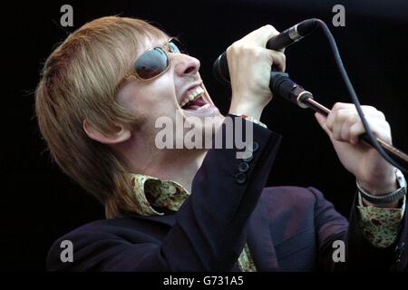 Oxegen Musikfestival Stockfoto