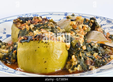 Nahaufnahme der hausgemachte gefüllte Zucchini nach dem original-Rezept Stockfoto