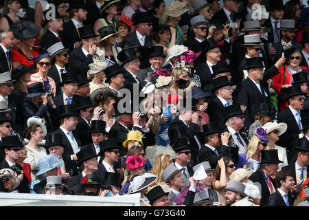 Pferderennen - Investec Derby Tag 2014 - Epsom Downs Racecourse. Rennfahrer feuern die Pferde während des Investec Derby Day auf der Epsom Downs Racecourse in Surrey an. Stockfoto