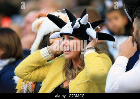 Fußball - Sky Bet Championship - Play Off - Finale - Derby County gegen Queens Park Rangers - Wembley Stadium. Ein Fan von Derby County in den Tribünen des Wembley Stadions Stockfoto