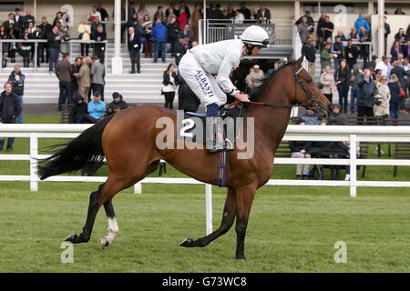 Pferderennen Sie - Derby Trial Raceday - Lingfield Park Rennbahn Stockfoto