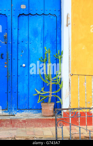Hell blau alte Holztür und Anlage auf einem typischen, traditionellen Haus malte in leuchtenden Farben in kolonialen Trinidad, Kuba Stockfoto