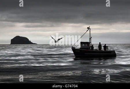 Ausschließliche Recht zur Regel - schottischen Küstenfischer Fisch Stockfoto