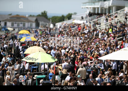 Pferderennen - Investec Ladies Day 2014 - Epsom Downs Racecourse. Ein allgemeiner Blick auf die Menschenmassen am Ladies Day auf der Rennbahn Epsom Downs Stockfoto