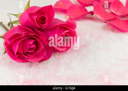 Rosa Rose auf Rosenblättern und Bad Salzkörner Stockfoto