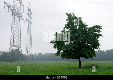 Hochspannungs Strommasten, Leichlingen, Nordrhein-Westfalen, Deutschland. Stockfoto