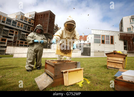 Die Vorsitzende des schottischen Parlaments, Tricia Marwick, und Heather McLean (links) aus Kelvin Valley Honey mit der Bienenart Buckfast, die ihren Wohnsitz in Holyrood aufgenommen haben, nachdem das schottische Parlament die erste Legislaturperiode im Vereinigten Königreich war, die Bienenstöcke hatte, als Anfang des Jahres zwei installiert wurden. Stockfoto