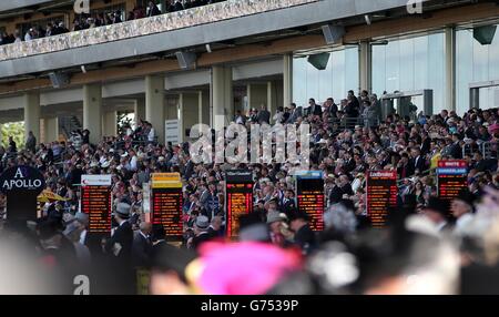 Ein allgemeiner Blick auf die Atmosphäre am zweiten Tag des Royal Ascot Meeting 2014 auf der Ascot Racecourse, Berkshire. Stockfoto