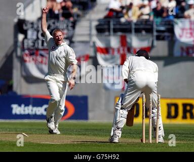 Der englische Matthew Hoggard (links) feiert nach dem sauberen Bowling des neuseeländischen Lou Vincent für 12 Läufe am zweiten Tag des ersten Testspieles gegen Neuseeland im Jade Stadium, Christchurch. * ... Yorkshire Fast Bowler Hoggard hat sich für 63 als beste Sieben für die Karriere gemeldet, um Neuseeland zu entlassen, und am zweiten Tag ohne Verlust wieder neun zu erreichen, als er die 228 Englands für 147 in nur 51.2 Übergängen hinterjagte. Stockfoto