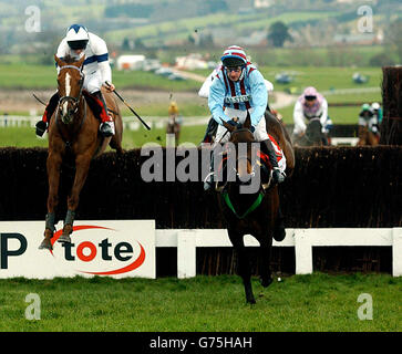 Jim Culloty auf Best Mate, der über den letzten vor dem zweitplatzierten Comanche Court führte, um den Cheltenham Gold Cup zu gewinnen. Stockfoto