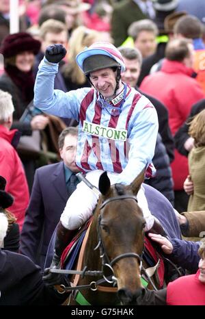 Cheltenham/Best Mate gewinnt den Cheltenham Gold Cup. Jim Culloty tritt nach dem Gewinn des Cheltenham Gold Cup auf Best Mate in das Gehäuse ein. Stockfoto