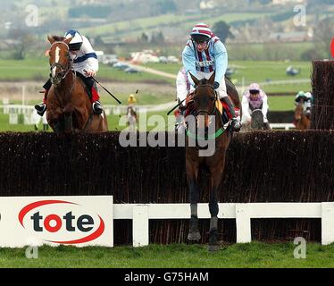 Jim Culloty auf Best Mate führt über den letzten Zaun vor dem zweitplatzierten Comanche Court und gewinnt den Cheltenham Gold Cup. Stockfoto