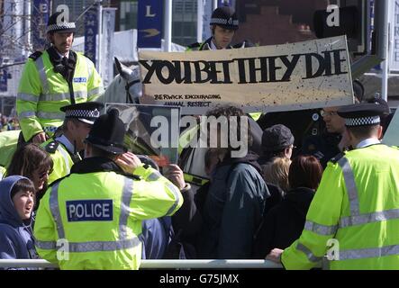 Polizeibeamte marshall Tierrechtsdemonstranten, während sie vor der Aintree Racecourse in Liverpool vor dem Martell Grand National demonstrieren. Stockfoto