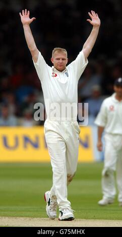 Der englische Matthew Hoggard feiert, nachdem er das Wicket von Sri Lankas Russel Arnold genommen hat, der von Marcus Trescodick für 50 Läufe am zweiten Tag des ersten Testspieles auf Lord's Cricket Ground, London, gefangen wurde. Stockfoto